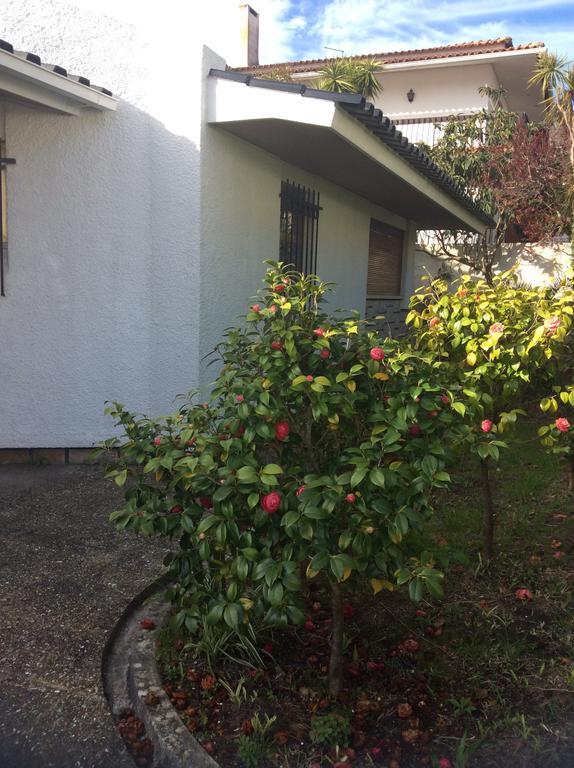 Casa Dos Oliva Villa Alcobaça Exterior foto